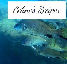 Corvina. Vorteile, Eigenschaften und Rezepte