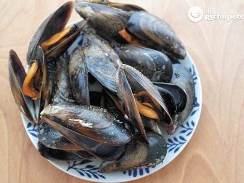 Muscheln dämpfen