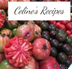 Tomate. Vorteile, Eigenschaften und Ernährung