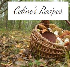 Pilzsaison. Nehmen Sie sie heraus